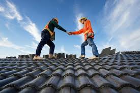 Best Asphalt Shingle Roofing  in La Joya, TX